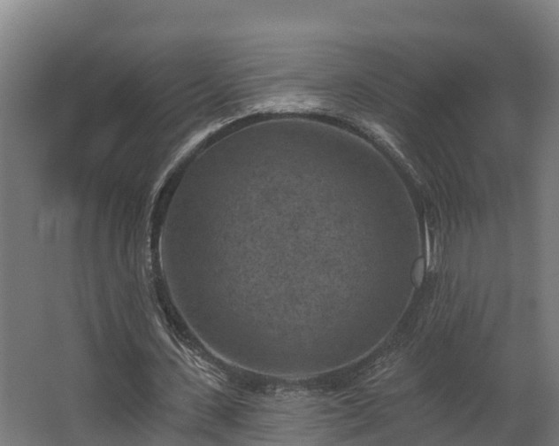 X0000068740531200605011028