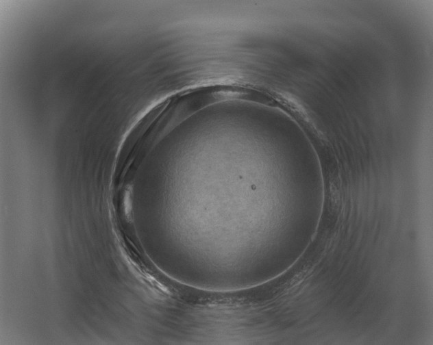 X0000068740532200605011028