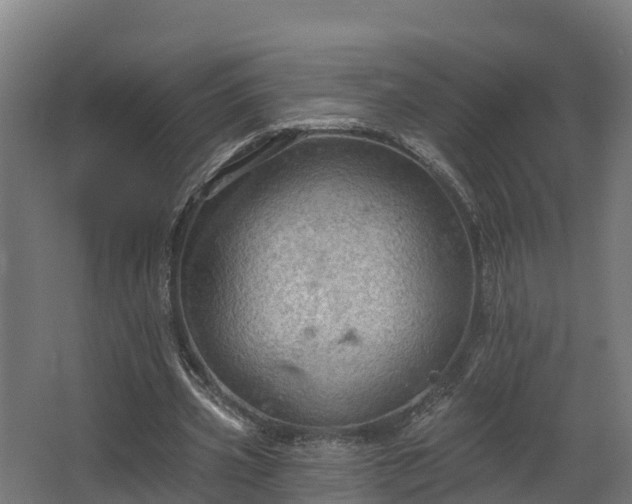 X0000068740533200605011028