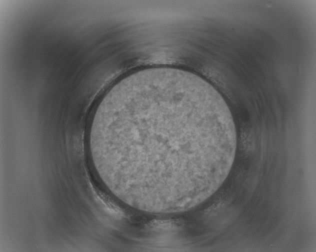 X0000068740534200605011028