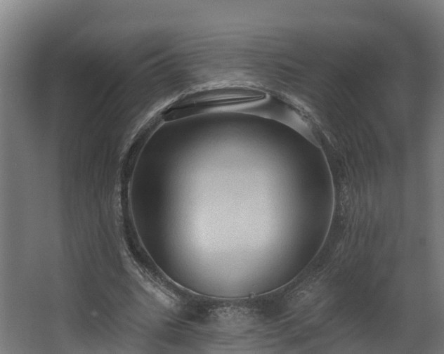 X0000068740535200605011028