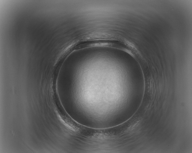 X0000068740538200605011028