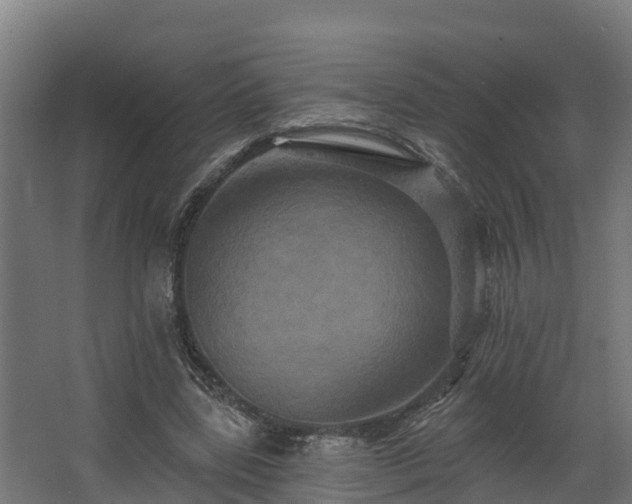 X0000068740539200605011028