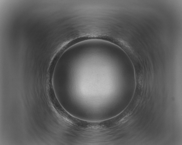 X0000068740540200605011028