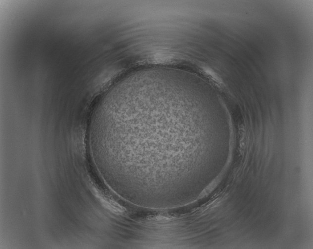 X0000068740542200605011028