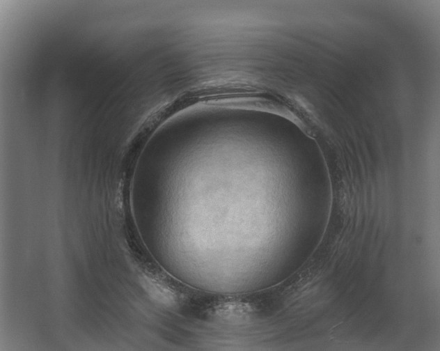 X0000068740543200605011028