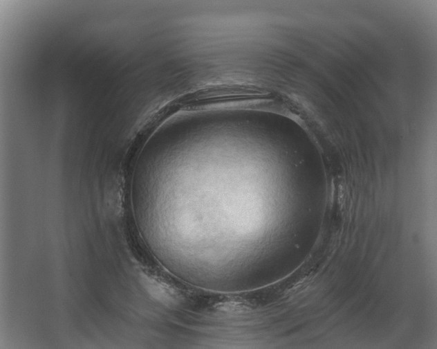 X0000068740544200605011028