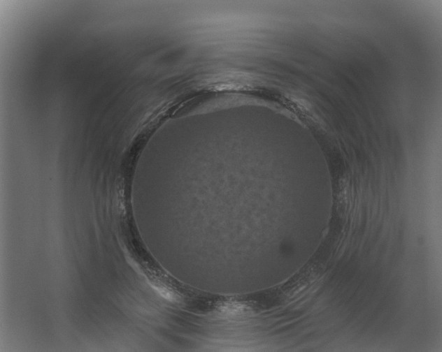 X0000068740547200605011028