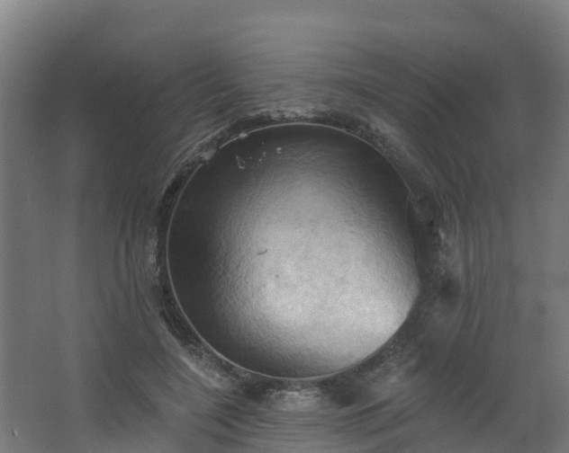 X0000068740548200605011028