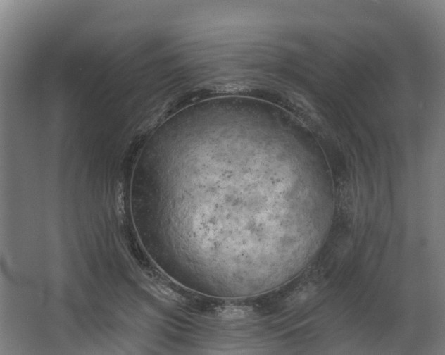 X0000068740549200605011028