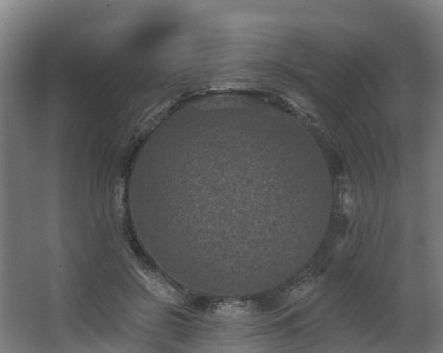 X0000068740550200605011028