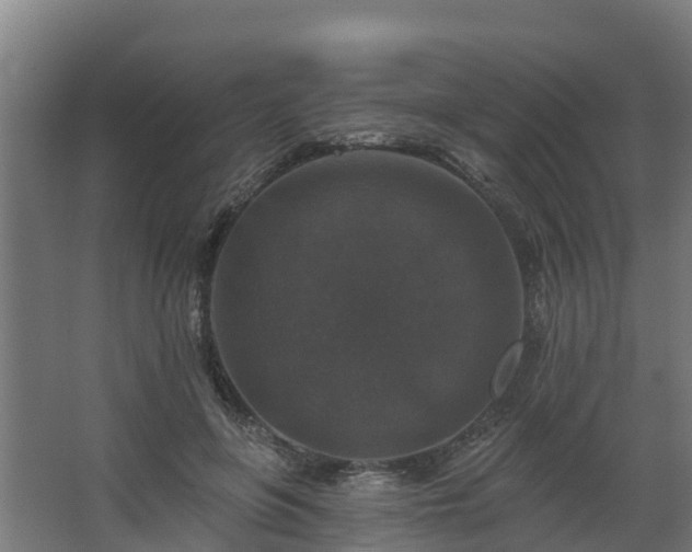 X0000068740551200605011028