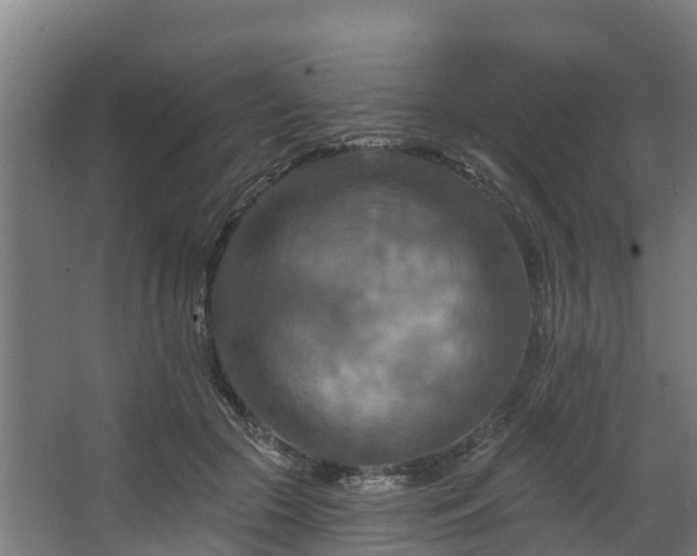 X0000068740553200605011028