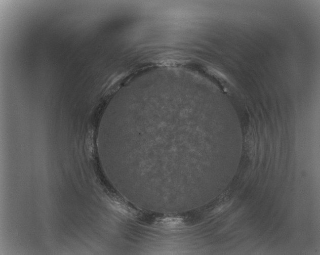 X0000068740554200605011028