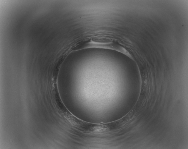 X0000068740555200605011028