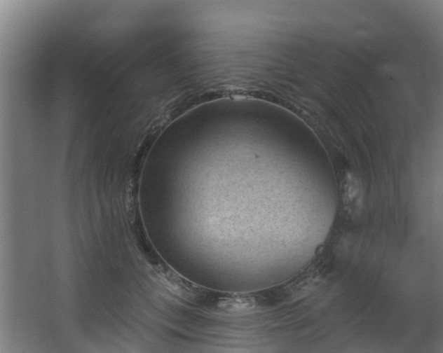 X0000068740559200605011028