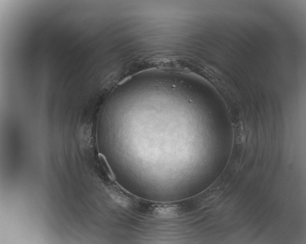 X0000068740560200605011028