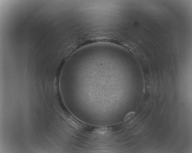 X0000068740563200605011028