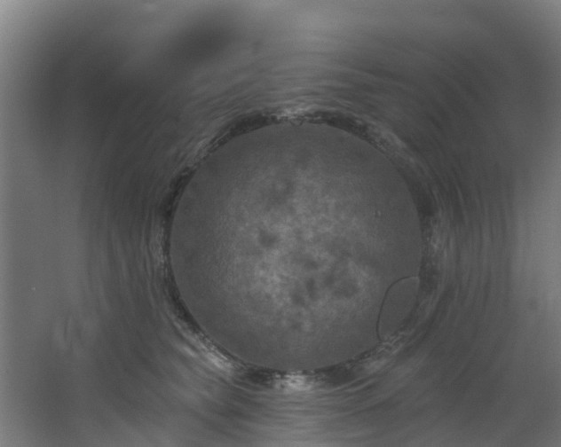 X0000068740565200605011028