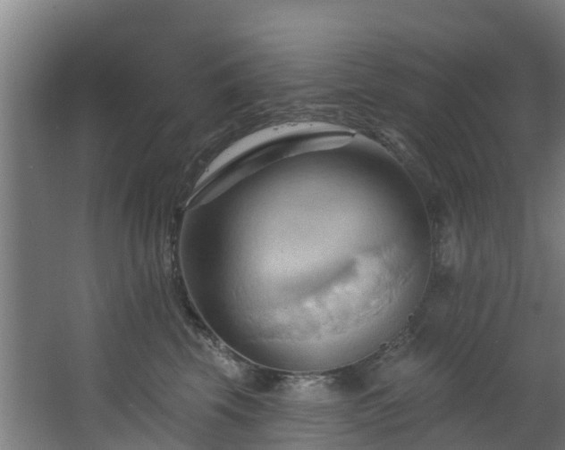 X0000068740569200605011028