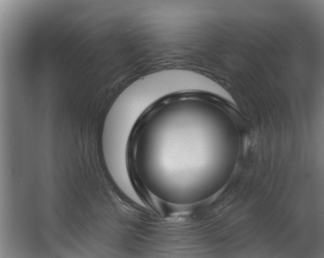 X0000068740570200605011028