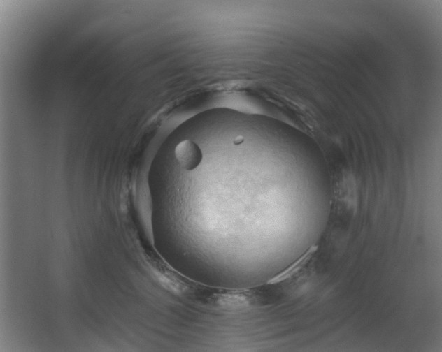 X0000068740572200605011028