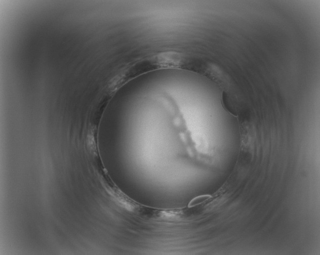 X0000068740573200605011028