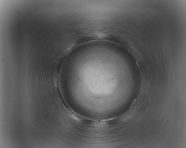 X0000068740576200605011028