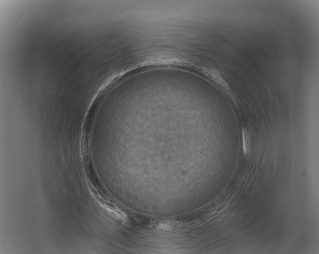 X0000068740579200605011027