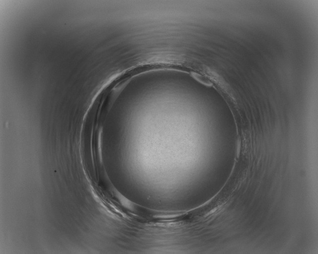 X0000068740580200605011027