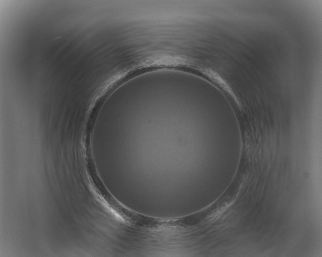 X0000068740581200605011027