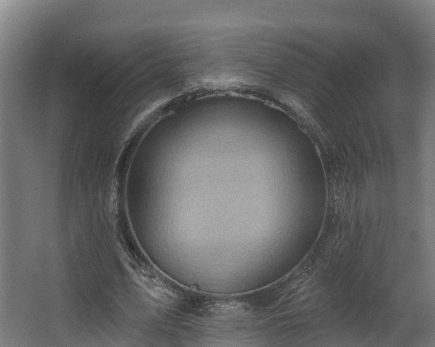 X0000068740583200605011027