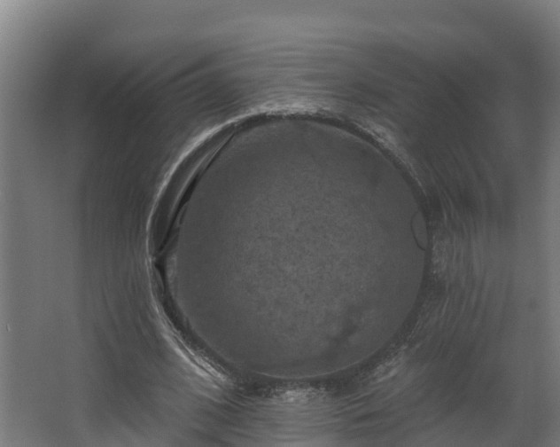 X0000068740584200605011027