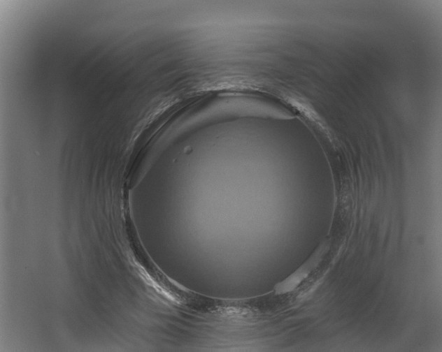 X0000068740585200605011027