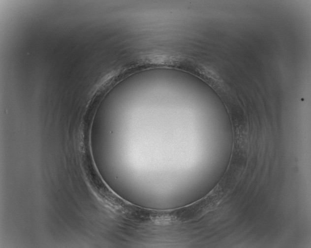 X0000068740587200605011027