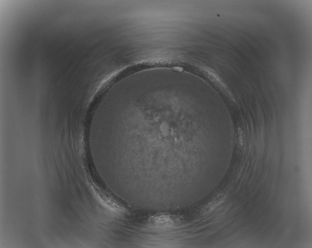 X0000068740588200605011027