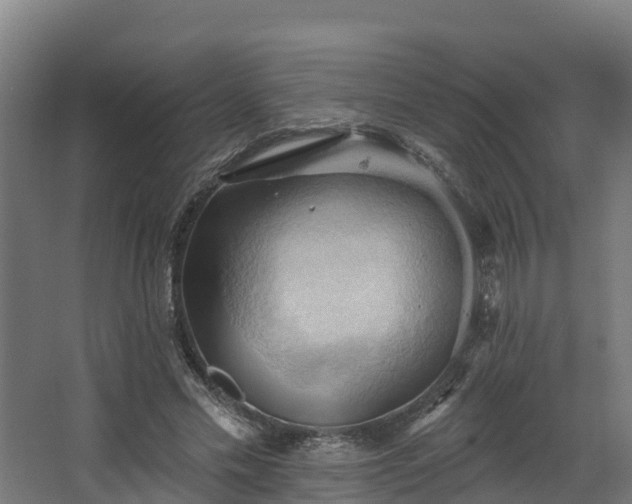 X0000068740589200605011027