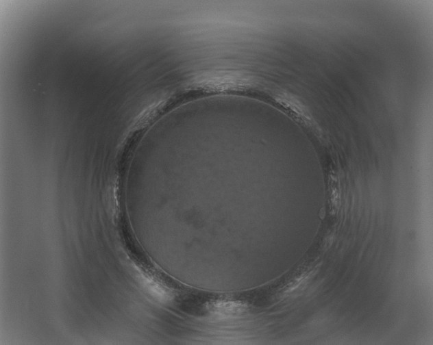 X0000068740590200605011027