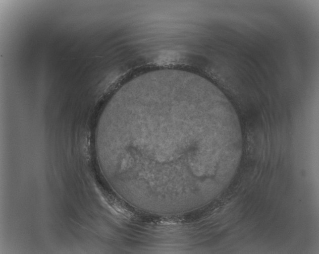 X0000068740592200605011027