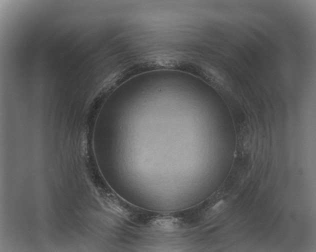 X0000068740595200605011027