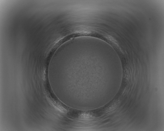 X0000068740596200605011027