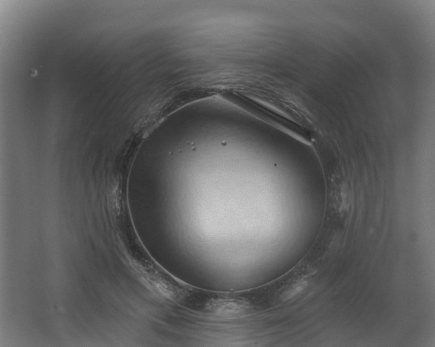 X0000068740597200605011027