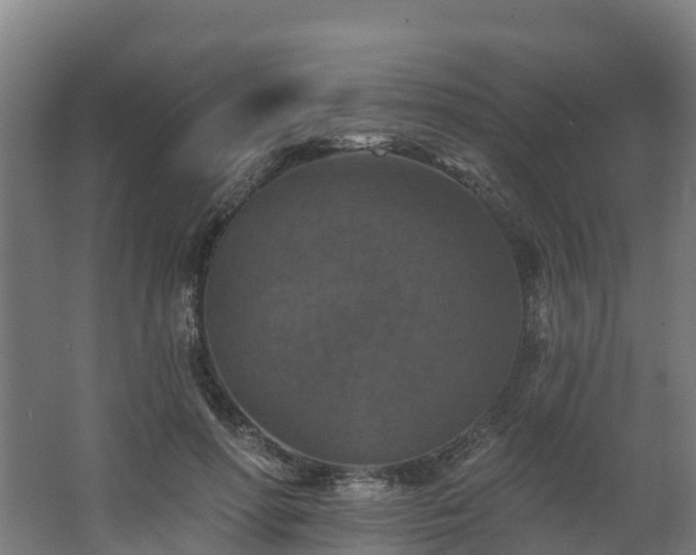 X0000068740598200605011027