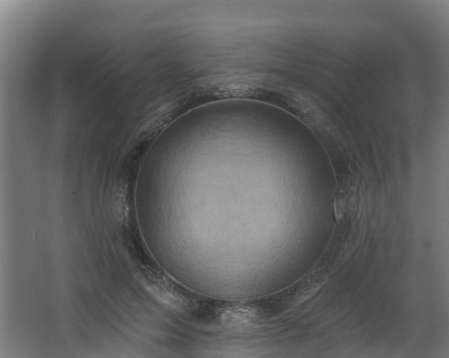 X0000068740599200605011027