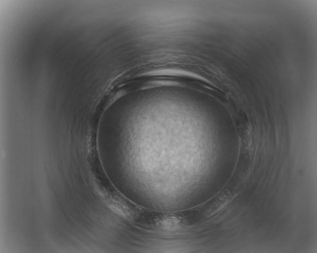 X0000068740600200605011027