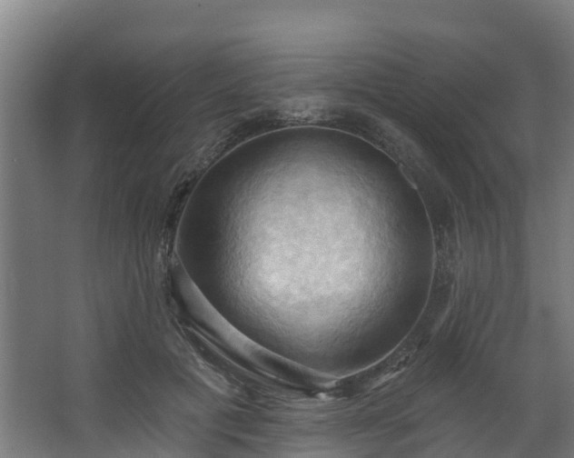 X0000068740601200605011027