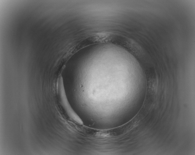 X0000068740602200605011027