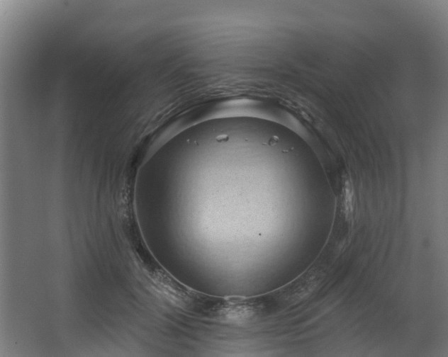 X0000068740604200605011027