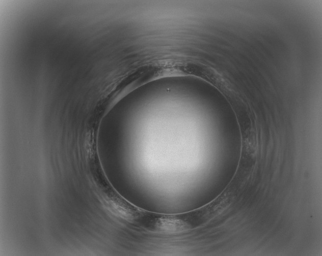 X0000068740605200605011027