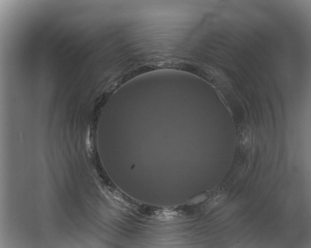 X0000068740607200605011027